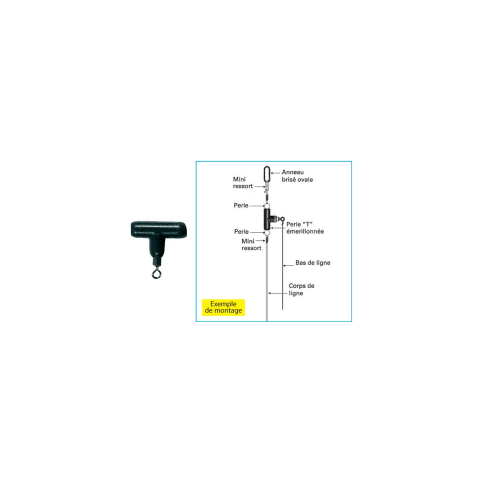 Perles T Emerillonnees | Emerillon Surf & soutenir | DPSG
